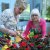 Geraniummarkt 2016